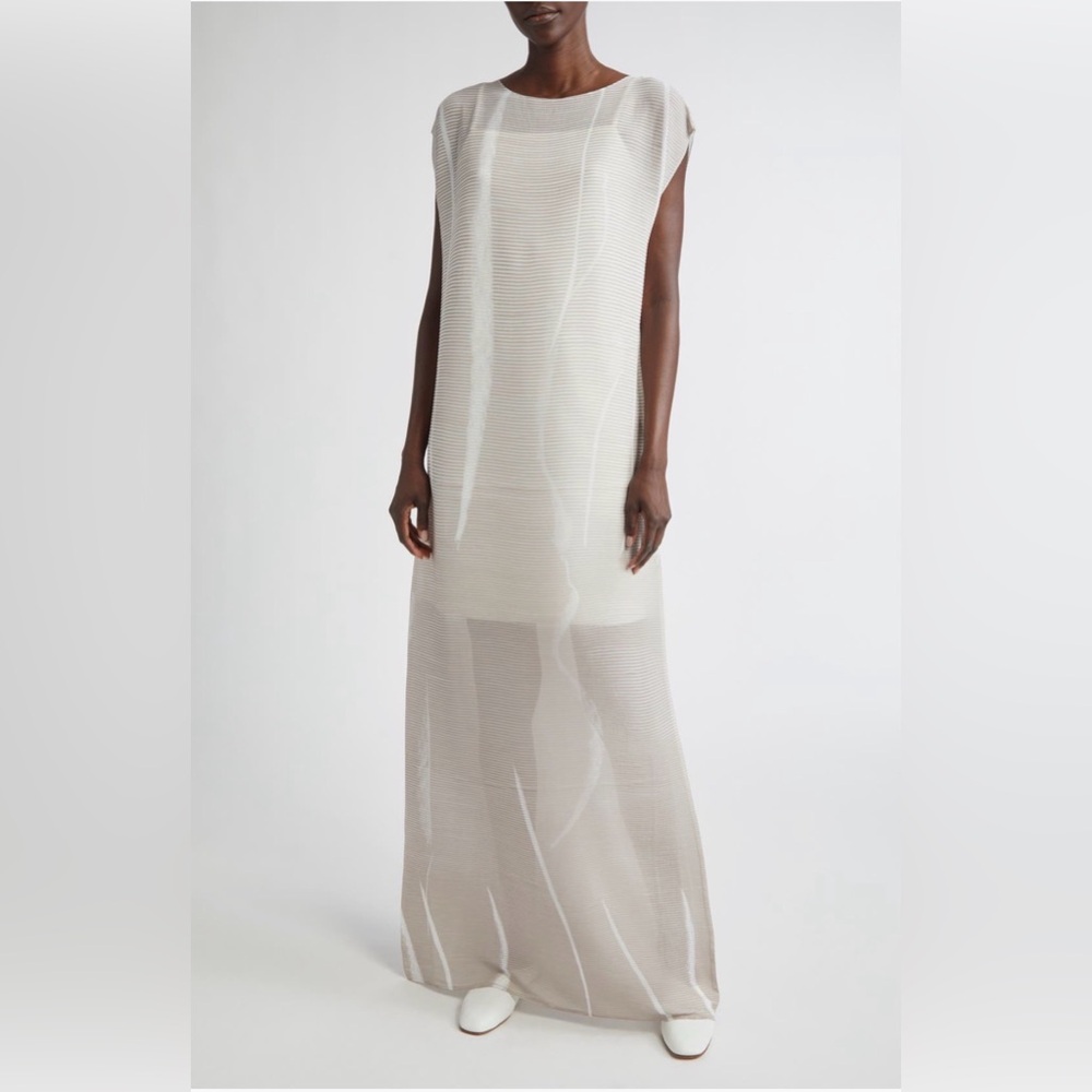 Elegant Sheer Maxi Dress